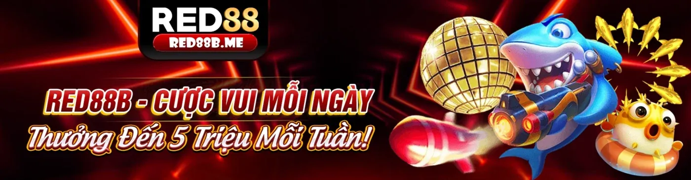 Hình ảnh banner chính 888to trang chủ chính thức